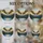 Wildlife Art Enthusiasts' Exquisite Tiffany Stained Glass Osprey, Jewel-Toned Mountain Lake Pine Forest Golden Sky Stained Glass Suncatcher - 4