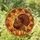 Autumn Enthusiasts' Radiant Golden Amber Stained Glass Turkey Harvest Design Stained Glass Suncatcher - 1