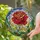 Floral Art Lovers' Tiffany Stained Glass Peony Rose Crimson Emerald Gold Mosaic Stained Glass Suncatcher - tczhORIxHK