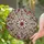 Art Lovers' Glowing Tiffany Stained Glass Hexagram Star Celestial Nebula Ruby Red Amber Stained Glass Suncatcher - 2