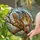 Reptile Lovers' Glowing Stained Glass Bearded Dragon, Tiffany Style Amber Blue Wings, Intricate Golden Yellow Brown Branch Mosaic Stained Glass Suncatcher - 9-zlrdM5hE