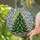 Whimsical Holiday Art Lover's Emerald Green Ruby Red Stained Glass Pickle Christmas Tree Stained Glass Suncatcher - 2