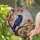 Nature & Art Lovers' Edge-to-Edge Tiffany Stained Glass Raven Autumn Maple Leaves Deep Blue Purple Orange Stained Glass Suncatcher - 2