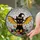 Witchy Cat Lovers' Tiffany Style Stained Glass Black Cat Bat Wings Autumn Jewel Tones Stained Glass Suncatcher - pPE7Qugnwk