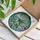 Nature Lovers' Tiffany Stained Glass Ruby Hummingbird Emerald Red Orange Floral Sky Art Stained Glass Suncatcher - 3