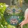 Nature Art Enthusiasts' Tiffany Style Stained Glass Dragonfly Lotus Emerald Teal Pink Mosaic Stained Glass Suncatcher - 2