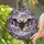 Gothic Style Enthusiasts' Tiffany Style Stained Glass Bat Moon Deep Violet Lavender Stained Glass Suncatcher - 2