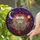 Romantic Souls' Celestial Stained Glass Skeleton Embrace with Jewel Tone Flowers & Moons Stained Glass Suncatcher - 2