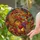 Autumn Enthusiasts' Tiffany Stained Glass Cornucopia Harvest Jewel Tone Pattern Stained Glass Suncatcher - 2