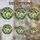 Home Decor Enthusiasts' Vibrant Tiffany Stained Glass Lemon Botanical Mosaic Pattern Stained Glass Suncatcher - 4