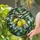 Home Decor Enthusiasts' Vibrant Tiffany Stained Glass Lemon Botanical Mosaic Pattern Stained Glass Suncatcher - 2