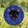 Dark Art Enthusiasts' Stained Glass Snarling Black Cat Red Eyes Indigo Blue Geometric Mosaic Pattern Stained Glass Suncatcher - 1