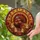 Autumn Lovers' Tiffany Stained Glass Majestic Turkey & Chibi Chicks Mosaic Art in Jewel Tones Stained Glass Suncatcher - 2