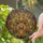 Nature Lovers' Majestic Stained Glass Deer Intricate Antlers Floral Crown Forest Mosaic Jewel Tones Stained Glass Suncatcher - cMaluYPuR6