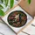 Mystical Art Admirers' Tiffany Style Stained Glass Serene Woman Profile, Ruby Red Mushrooms, Emerald Green Foliage, Amethyst Swirls Stained Glass Suncatcher - 3