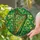 Celtic Heritage Enthusiasts' Tiffany Style Stained Glass Irish Harp Emerald Green Golden Clover Mosaic Stained Glass Suncatcher - 2