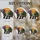 Nature Lovers' Tiffany Stained Glass Bear Silhouette Blue Purple Orange Sunset Lake Art Stained Glass Suncatcher - 3
