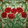 Nature Art Lovers' Intricate Red Poppy Tiffany Stained Glass Mosaic Dappled Light Design Stained Glass Suncatcher - 7