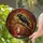 Nature & Folklore Enthusiasts' Stained Glass Crow Fox Forest Mosaic Jewel Tone Art Stained Glass Suncatcher - 2