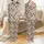 Highland Cow Lover Fluffy Brown Cows Red Polka Dot Bandana Heather Grey Design Satin Pajamas Set - 1