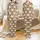 Coffee & Cat Lovers' Warm Taupe Beige Cute Tabby Kittens in White Coffee Cups & 'I Need Coffee' Script Pattern Satin Pajamas Set - 1