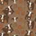 Cozy Fall Harvest: Rustic Peeking Cow & Maple Leaf Pattern Sleep Set Satin Pajamas Set - 4