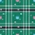 Cat Lovers' Bold Green Black White Tartan Plaid Pink Blue Stylized Cat Heads & Paw Prints Graphic Kid Satin Pajamas Set - 4