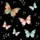 Women's Majestic Watercolor Butterfly & Delicate Floral All-Over Pattern Muted Orange Teal Black Fleece Blanket - 5