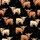 Highland Cow Christmas: Shaggy Watercolor Cows, Multi-Color Lights, Black Background - Festive Wearable Satin Short-Sleeve Pajamas Set - 4