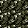 Nature Lover's Elegant Motif: Intertwined Olive Leaves & White Blossoms on Deep Black Wearable Design Kid Satin Pajamas Set - 4