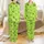 Avocato Cat-Avocado Happy Faces Sleeping Cats Lime Green Accent Apparel Satin Pajamas Set - 1