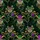 Mardi Gras Alligator Hawaiian Pattern: Star Sunglasses, Top Hat, Fleur-de-Lis, Seamless Short-sleeve Hawaiian Shirt - 7