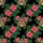 Black, Hot Pink, Coral Red, Dark Green, Teal Blue Carved Tiki Mask Monstera Hibiscus Black Matrix Fabric Print Short-sleeve Hawaiian Shirt - 7