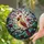 Nature Lovers' Intricate Stained Glass Cardinal Bird Jewel Tone Winter Berry Mosaic Stained Glass Suncatcher - 5