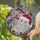 Christmas Cat Lovers' Luminous Jewel Tone White Cat Santa Hat Stained Glass Snowflake Mosaic Stained Glass Suncatcher - 5
