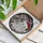 Christmas Cat Lovers' Luminous Jewel Tone White Cat Santa Hat Stained Glass Snowflake Mosaic Stained Glass Suncatcher - 6