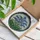 Art Lovers' Edge-to-Edge Stained Glass Forget-Me-Not Cobalt Blue Emerald Green Mosaic Stained Glass Suncatcher - 6