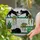 Cat Lovers' Tiffany Style Stained Glass Black Cats with Potted Plants Jewel Tone Mosaic Art Stained Glass Suncatcher - 5