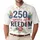 America 250th Anniversary: Freedom Polo Hibiscus Palm 1776 2026 Art Men's Polo Shirt (Lightweight) - 1