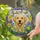 duiyfppz/products/69d5262b8a4aca4f19ad77bc/gallery/QAs-QzH4Tp