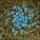Blue Forget-Me-Not Flowers Tiffany Glass Stained Translucent Jewel Floral Art Stained Glass Suncatcher - 5