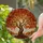 Ancient Tree Gnarled Trunk Autumn Foliage Stained Glass Mosaic - Tiffany Style Art Stained Glass Suncatcher - 1