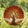 Ancient Tree Gnarled Trunk Autumn Foliage Stained Glass Mosaic - Tiffany Style Art Stained Glass Suncatcher - 2