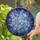 Forget-Me-Not Stained Glass Mosaic Cosmic Shimmer Art – Iridescent Jewel Tone Decor Stained Glass Suncatcher - 1