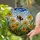 Bumblebee Daisy Flowers Mosaic Tiffany Stained Glass Cloudy Sky Foliage Jewel Tones Stained Glass Suncatcher - 1