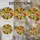 Oak Acorn Branch Leaves Tiffany Stained Glass Mosaic - Glowing Translucent Jewel Tones Stained Glass Suncatcher - 4