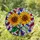 Two Sunflowers Stained Glass Mosaic Art - Tiffany Style Window Decor Home Accent Panel Stained Glass Suncatcher - 2