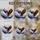 Bald Eagle Soaring Snow-Capped Mountains Lake Sunset Dramatic Stained Glass Stained Glass Suncatcher - 4