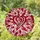 Radiant Heart Stained Glass Mosaic - Tiffany Style Jewel Tones Red Pink White Leaf Pattern Stained Glass Suncatcher - 2