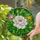 White Peony Stained Glass - Tiffany Style Pink & Yellow Peony Flowers Green Foliage Stained Glass Suncatcher - 1